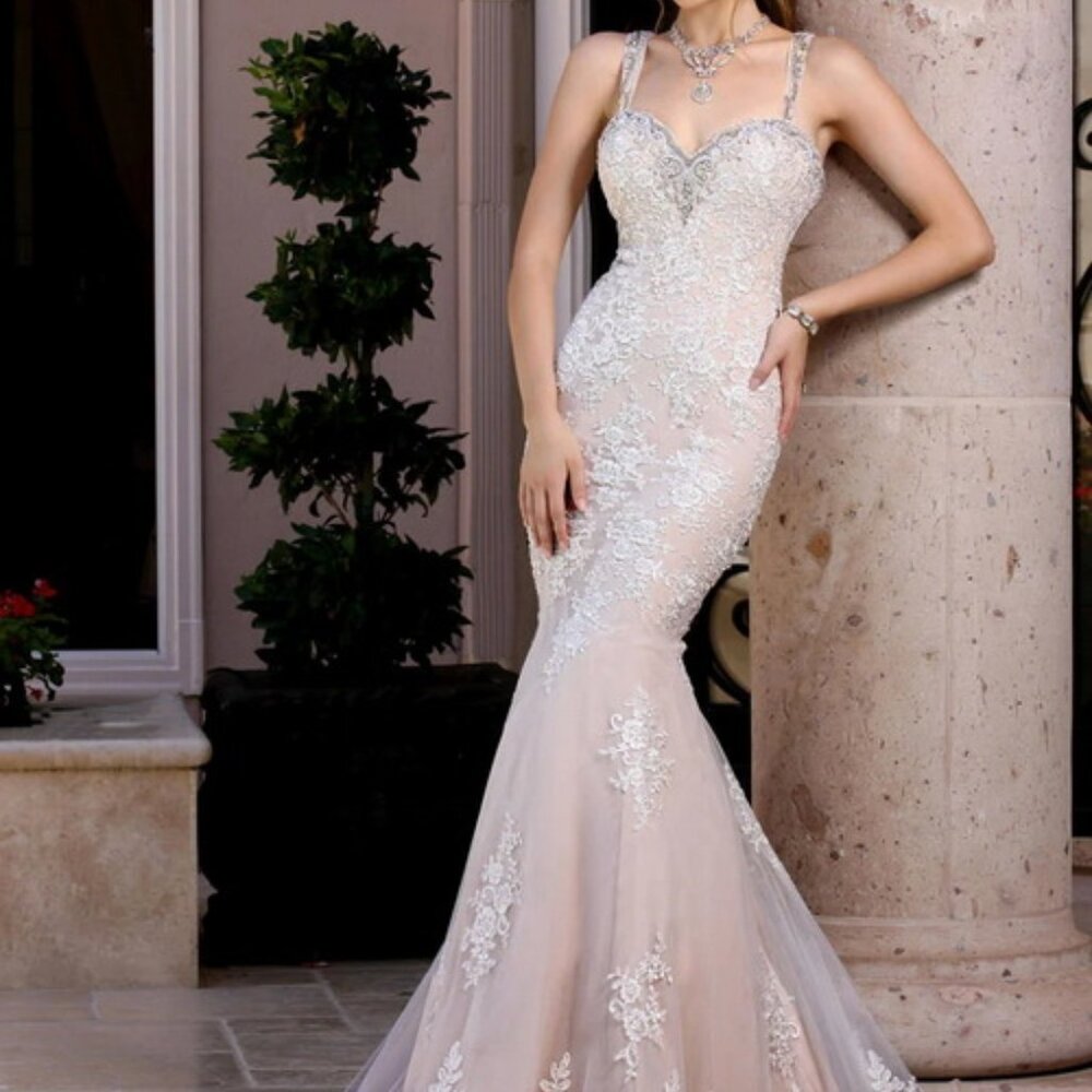 DaVinci Bridal Ivory Antique Lace Embellished Wedding Gown